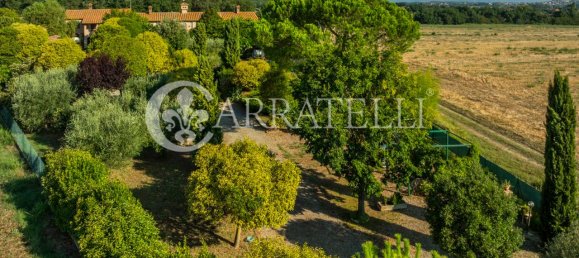 18 rooms House in Castiglione del Lago, Italy No. 3063 17