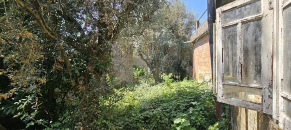 4 bedrooms House in Senhorim, Portugal No. 190366 12