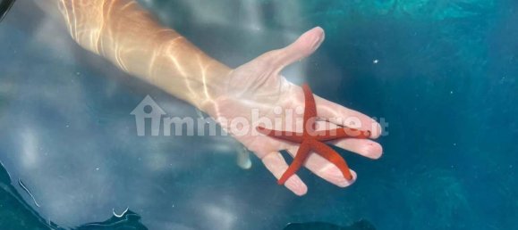 2 غرف نوم فيلا في Trinità d'Agultu e Vignola, Italy رقم 116139 15