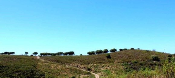 Terrain à Lagos, Portugal 201000m² No. 154525 5