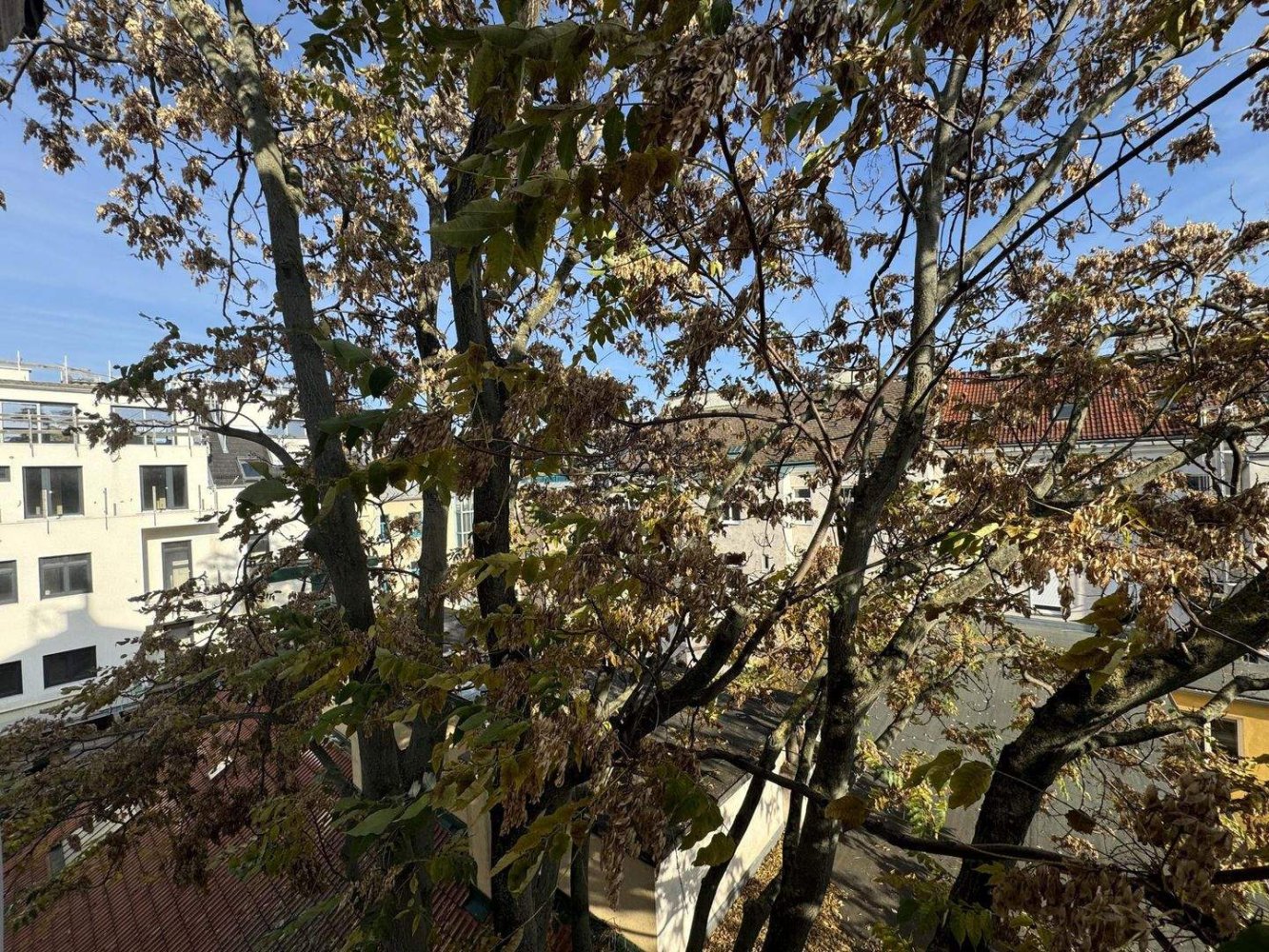 2-Zimmer Wohnung in Ottakring, Austria, Nr. 207440