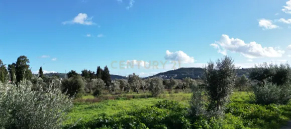 8550m² Land in Loures, Portugal No. 120042 2