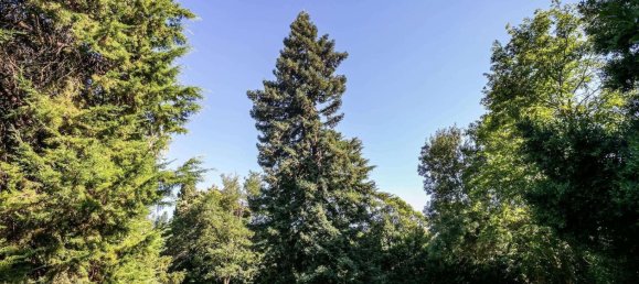 10 bedrooms Castles in Elvas, Portugal No. 109285 7