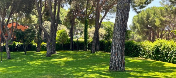 6 bedrooms House in Pozuelo de Alarcon, Spain No. 158553 5