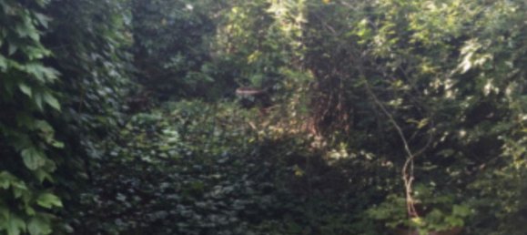 4-salle Maison à Corbetta, Italy No. 89592 18