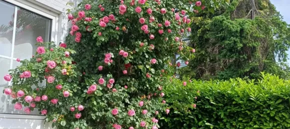 4 Schlafzimmer Villa in Düsseldorf, Germany, Nr. 344430 20