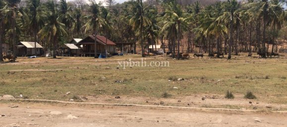 Terrain à Gili Trawangan, Indonesia 2605m² No. 4125 2