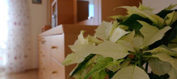 Apartamento de 4 habitaciónes en Bad Mitterndorf, Austria No. 45510 7