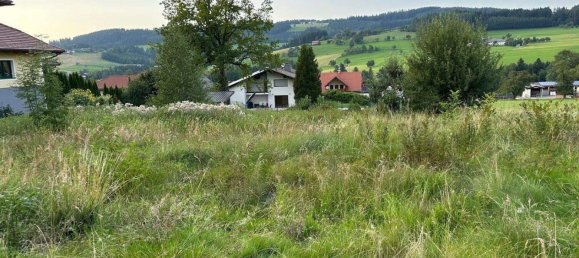 Land in St. Konrad, Austria No. 228716 2