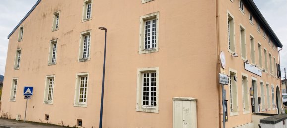 Propriété commerciale à Belleville, France No. 305861 2