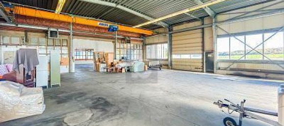 5غرفة عقار تجاري في Peine, Germany رقم 221392 5