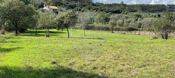 2 bedrooms House in Ferreira do Zezere, Portugal No. 27732 7