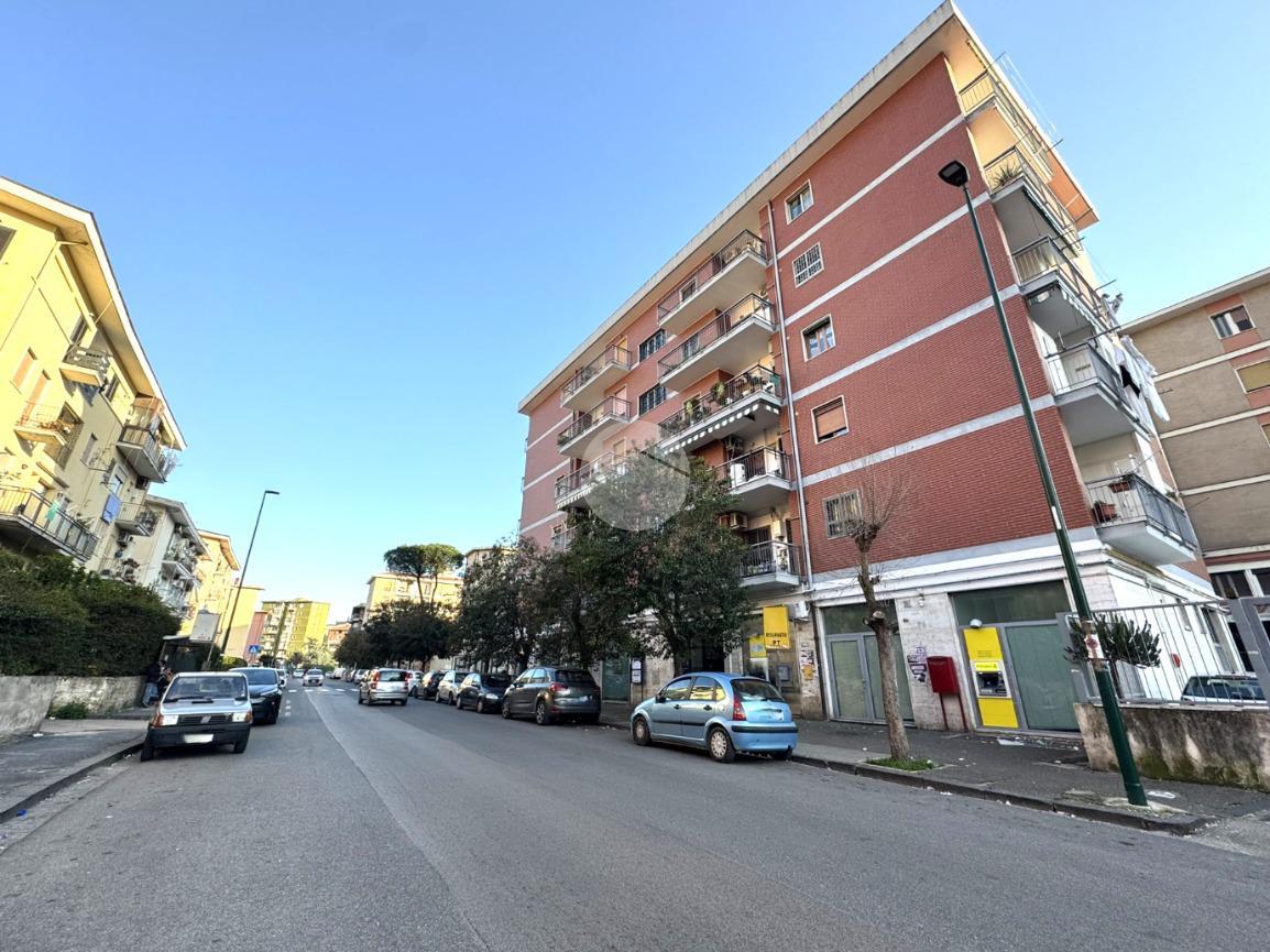 2-Zimmer Wohnung in Naples, Italy, Nr. 237768