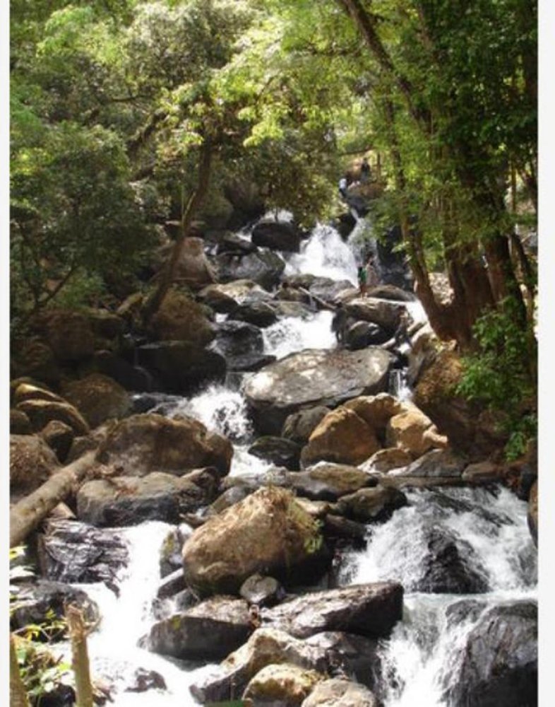 Terrain à Heroica Matamoros, Mexico No. 206264