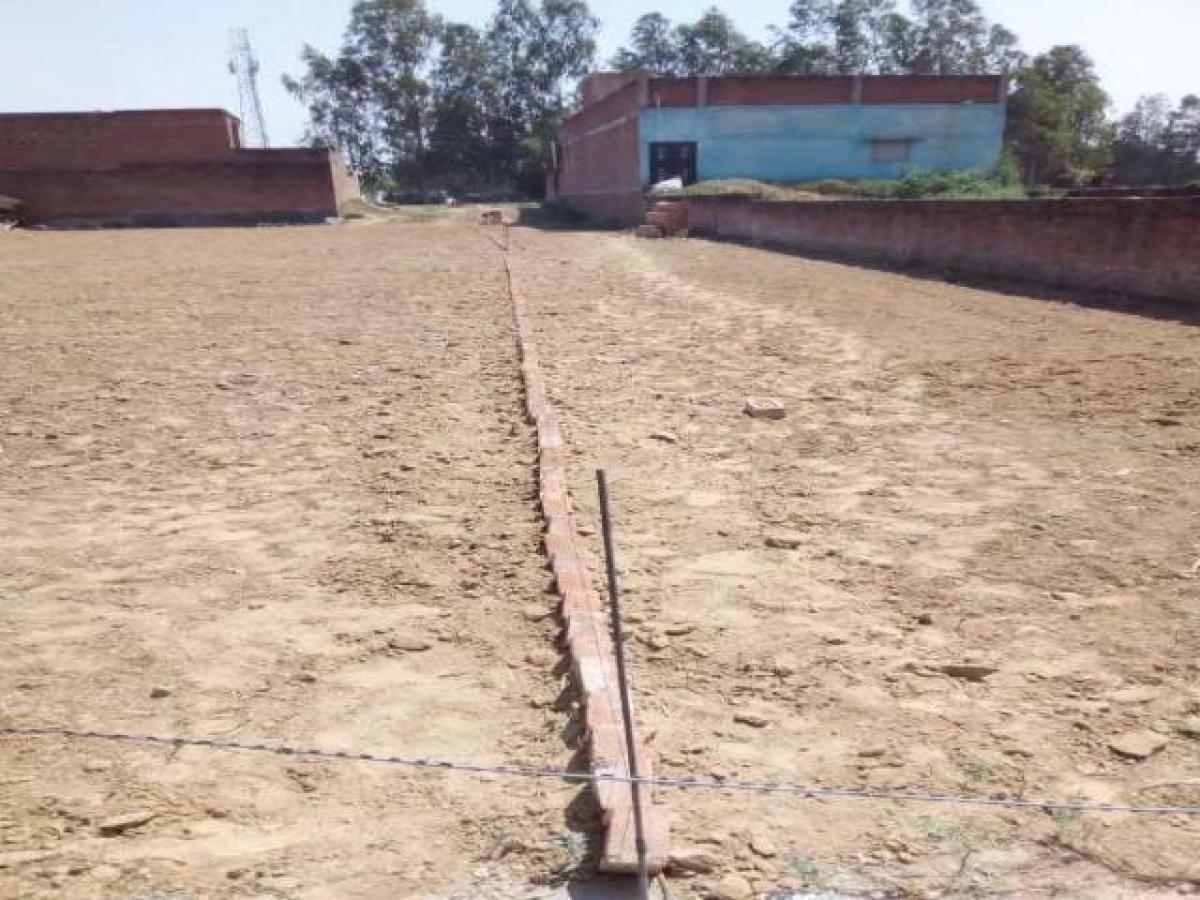 Grundstück in Lucknow, India, Nr. 30193