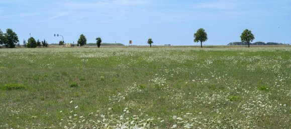 2 rooms Apartment in Saalekreis, Germany No. 100605 13