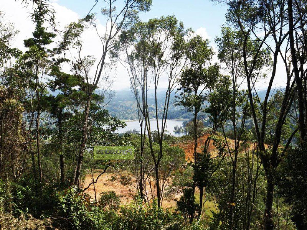  قطعة أرض في Antioquia, Colombia رقم 286