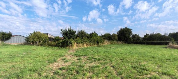 4 bedrooms House in Deneze-sous-Doue, France No. 295269 7