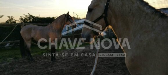 3 bedrooms House in Castelo da Maia, Portugal No. 52496 21