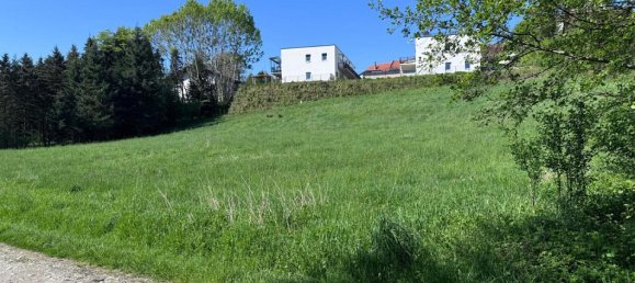 Grundstück in Graz-Umgebung, Austria, Nr. 127358 3