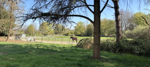 4 Schlafzimmer Stadthaus in Krefeld, Germany, Nr. 260998 9