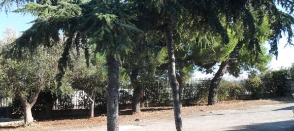 Villa de 7 divisões em Polignano a Mare, Italy N.º 170340 3