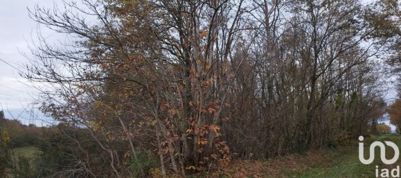 Terreno em Villefranche-sur-Cher, France 17682 m² N.º 152007 2