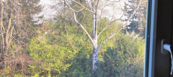 Escritório em Korneuburg, Austria 390 m² N.º 154930 17