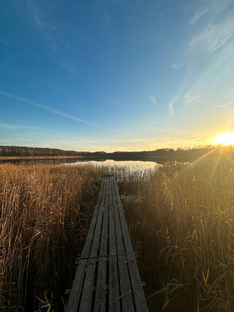  Land in Friedrichshain, Germany No. 293895