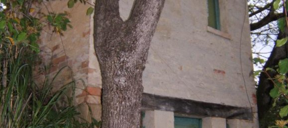 8 rooms House in Ascoli Piceno, Italy No. 125389 25