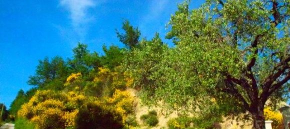 8 rooms House in Ascoli Piceno, Italy No. 125389 26