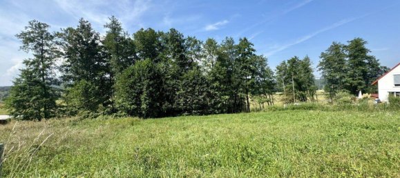 Land in Leibnitz, Austria No. 91635 3