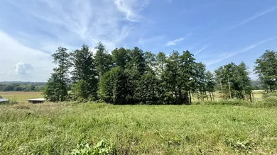  Land in Leibnitz, Austria No. 91635