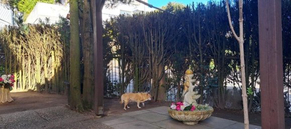 2 Schlafzimmer Haus in Saarland, Germany, Nr. 33351 16