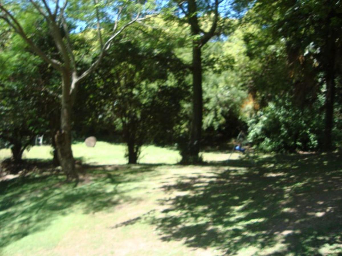  Land in San Isidro, Argentina No. 46262
