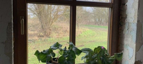 Дом с 15 комнатами в Северо-Западный Мекленбург, Германия № 183955 24