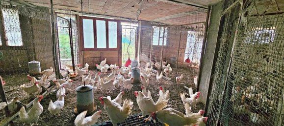 440m² Building in Saludecio, Italy No. 378010 24