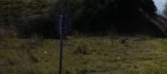 17946m² Warehouse in Scanzano Jonico, Italy No. 271973 6