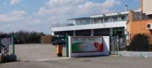 17946m² Warehouse in Scanzano Jonico, Italy No. 271973 9