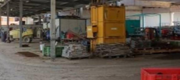 17946m² Warehouse in Scanzano Jonico, Italy No. 271973 8