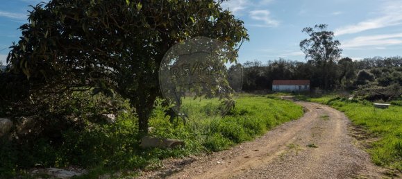 2 bedrooms House in Turquel, Portugal No. 22738 9