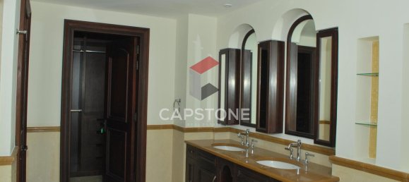 5 غرف نوم فيلا في جزيرة السعديات, UAE رقم 31545 12