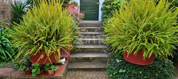 8 Schlafzimmer Haus in Oeiras, Portugal, Nr. 102848 3