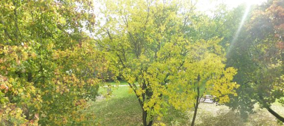 2 bedrooms Apartment in Pithiviers, France No. 96861 5