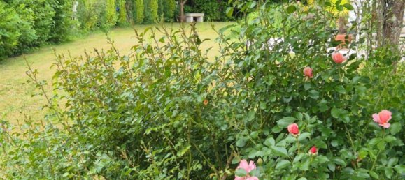 4-salle Villa à Sudwestpfalz, Germany No. 237953 32