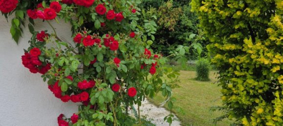 4-salle Villa à Sudwestpfalz, Germany No. 237953 27