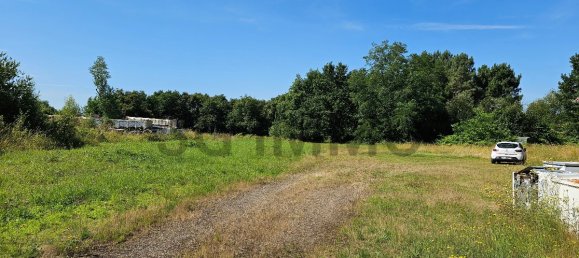 Коммерческая недвижимость с 2 комнатами в Габарре, Франция № 196789 3