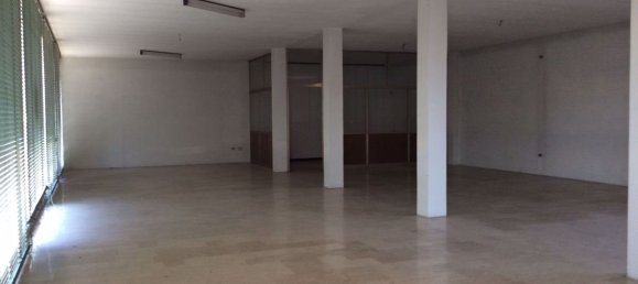 Gewerbliche Immobilie in Ceregnano, Italy 800m², Nr. 151198 8