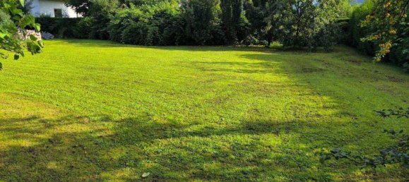 Terrain à Hallein, Austria No. 214401 2