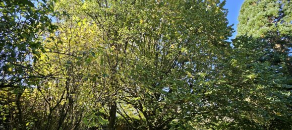 7 Schlafzimmer Haus in Varennes-en-Argonne, France, Nr. 40329 3